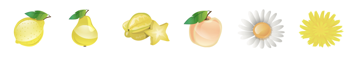 Vůně a chuť vína Blanc de Blanc DS Brut z vinařství De Stefani